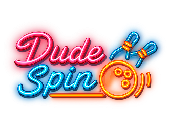 Dude Spin logo